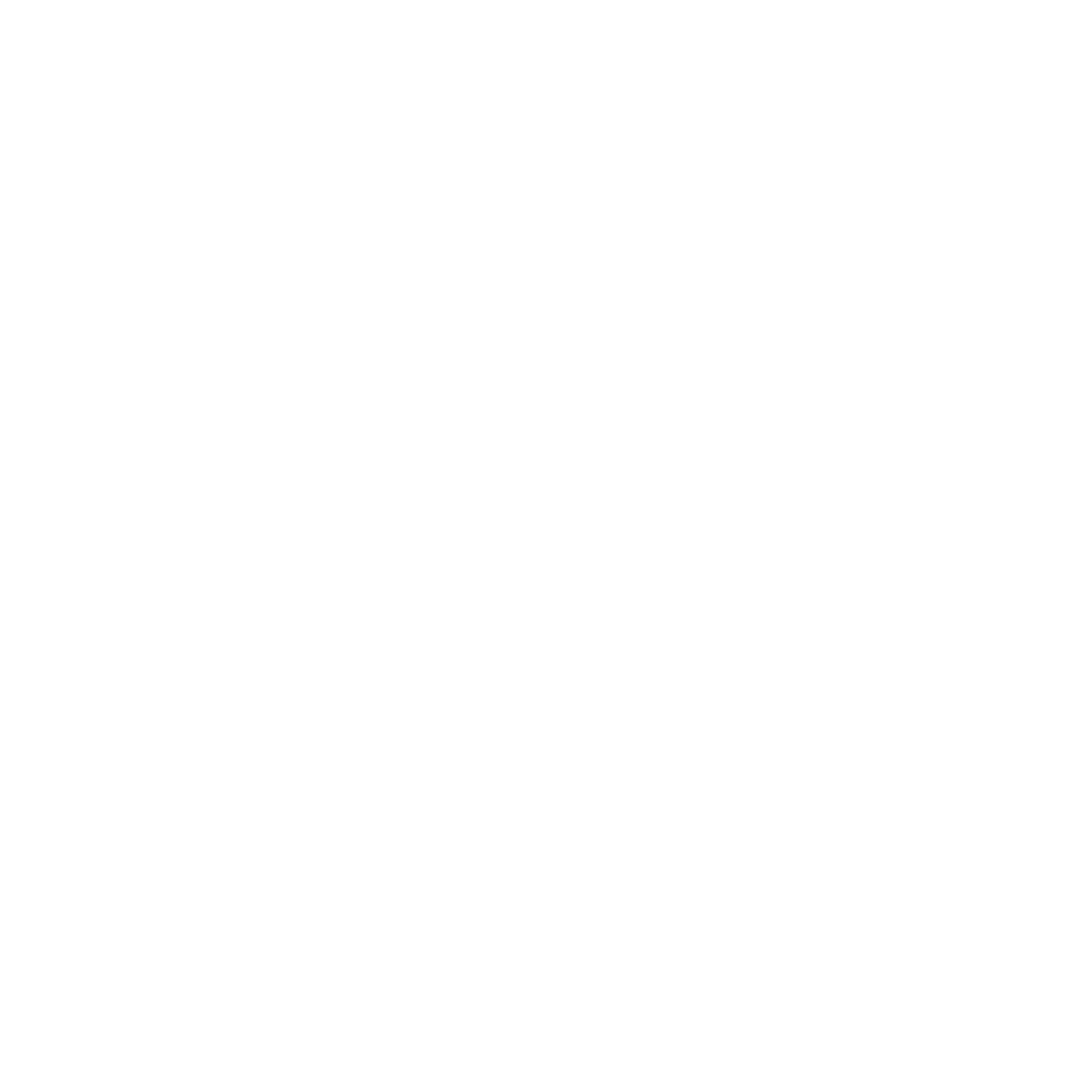 Craig Senyk Initiatives logo